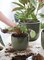 Set of 3 Ceramic Planters with Drainage Holes (Reactive Glaze Dark Olive)